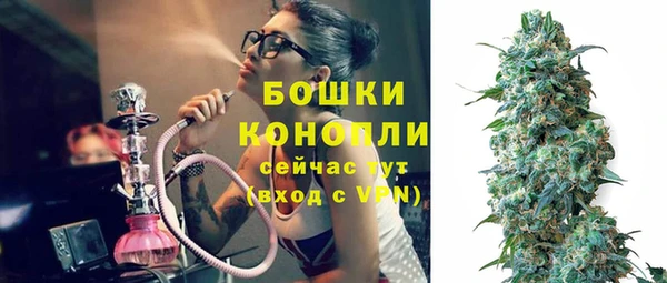 гидра Белокуриха